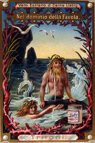 Repræsentation af salamander, legendariske væsner mi man mi fisk. kromolitografi fra det 19. århundrede af Unknown artist