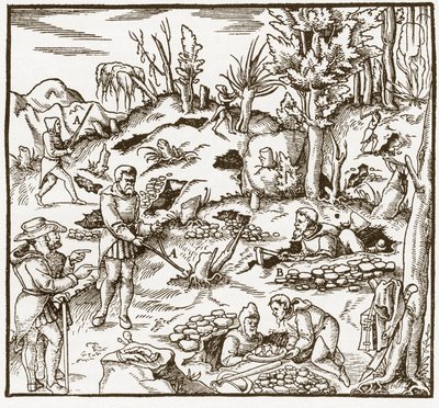 Rhabdomancy - rhabdomancie - Udforskning af et minefelt ved hjælp af spådomsstaven - Mænd skærer og bruger spådomsstave til at lokalisere mineraler - Fra "" De re metallica"" af Georgius Agricola (Georg Bauer), Basel af Unknown artist