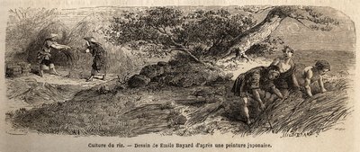 Risdyrkning: høst i oktober, stængler genforenes i støvler. Indgravering til illustration af rejsen til Japan i 1863-1864 af Aime Humbert, minister for Det Schweiziske Forbund, i "Le tour du monde, nouveau journal des voyages", udgivet under ledelsen af Unknown artist