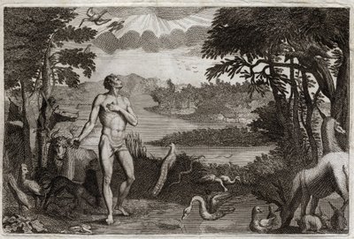 Royaumont Bibelen, Det Gamle Testamente: Skabelsen af mand og kvinde. Gud, som skabte mennesket, sætter det i det jordiske paradis, og forbyder det at spise af frugten fra træet til kundskab om godt og ondt. Illustration fra 1811. af Unknown artist
