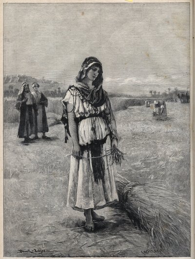 Ruth arbejder på Boaz (Booz) felt (Ruth og Boaz) - gravering fra maleriet af Druch-hajos af Unknown artist