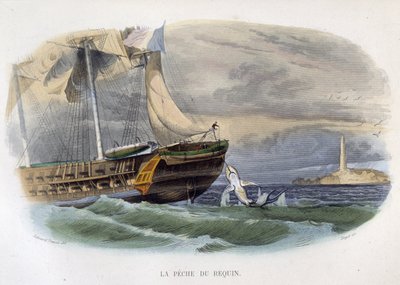 Hajfiskeri - i "Lacepèdes naturhistorie"" af Unknown artist