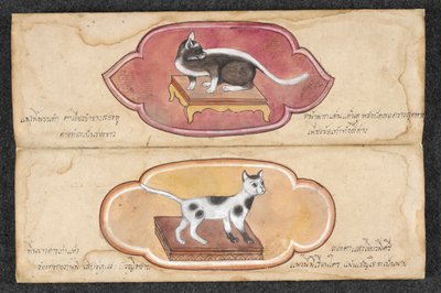 Siamesiske katte af Unknown artist