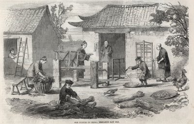 Silkeproduktion i Kina og de forskellige stadier af fremstillingen. af Unknown artist