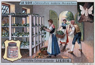 Silke: silkeværksted i Sydfrankrig, Liebig-reklame, v. 1895 af Unknown artist