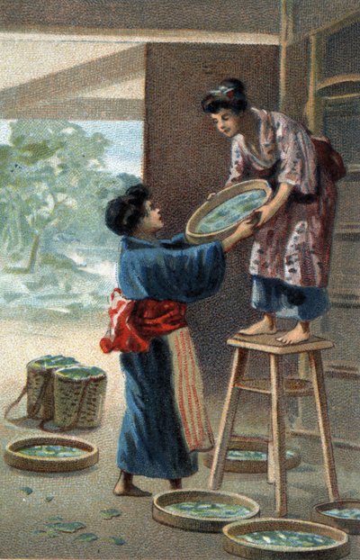 Silkeormeavl i en japansk magnet. Kromolitografi i slutningen af det 19. århundrede. af Unknown artist