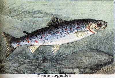 Sølvørredgravering fra 1898 af Unknown artist