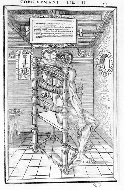 Skalle skåret. Anatomisk bord for "Dissektionen af ​​de tre dele af den menneskelige krop..." Carlo Stefano Riverio, Paris 1545 af Unknown artist