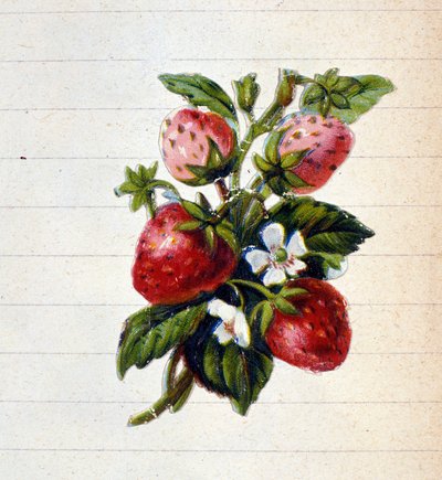 Jordbær. 1800-tallets kromolitografi. af Unknown artist