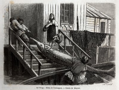 Størfiskeri ved mundingen af Volga-floden. Indgravering til illustration af rejsen på Volga af M. Moynet, i 1864, i "" Le tour du monde, nouveau journal des voyages"" udgivet under ledelse af Edouard Charton af Unknown artist