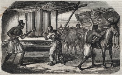 Sukkerfremstilling: en sukkerrørsmølle i en sukkerfabrik i Vestindien. Stik fra 1859. af Unknown artist