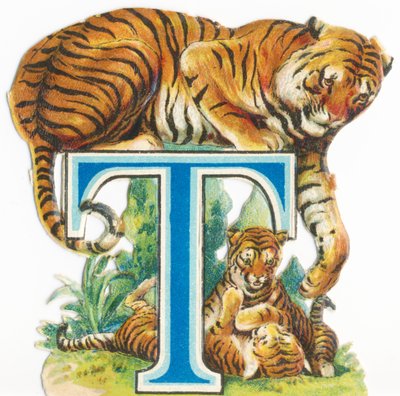 T: Tiger af Unknown artist
