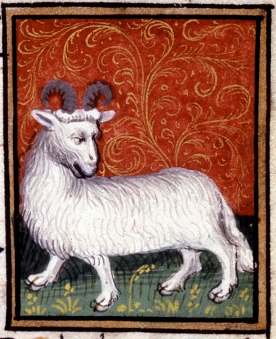 Vædderen. Miniature af et horoskop. 1400-tallets manuskript. Bibl. Trivulziana, Milano. af Unknown artist
