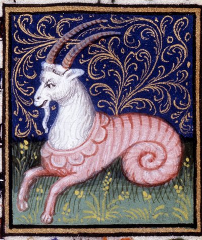 Stenbukken. Miniature af et horoskop. 15. århundredes manuskript. Bibl. Trivulziana, Milano. af Unknown artist