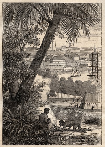 Ekspeditionen til de sydlige lande (1800-1803) af Nicolas Baudin (1754-1803): Udsigt over Sydney (Australien) - illustration fra "The Great Mariners of the 18th century"" af Unknown artist