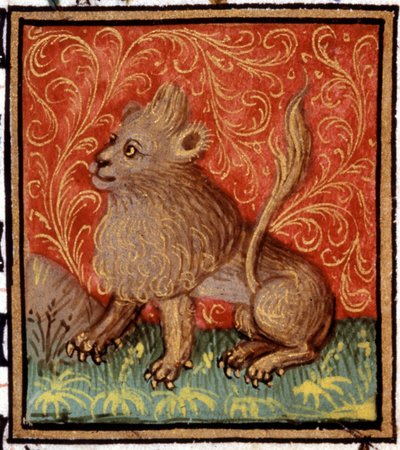 Løven. Miniature af et horoskop. 15. århundredes manuskript. Bibl. Trivulziana, Milano. af Unknown artist