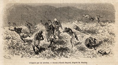 Karavanen af bærere af Henry Morton Stanleys ekspedition (1841-1904) på Misonghi-vejen (Østafrika) blev angrebet af en sky af bier. Gravering for at illustrere rejsen på jagt efter Livingstone i det centrale Afrika af Henry Stanley, korrespondent for af Unknown artist