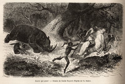 Anklagen til næsehornene, der vælter og fælder jægerne, under søgen efter forfatteren og hans guider. Gravering for at illustrere udforskningen af de abyssinske sideelver af Nilen, af Sir Samuel W.Baker, i 1861-62, udgivet i “” Le Tou af Unknown artist