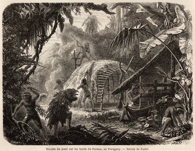 Samlingen af mat på bredden af Parana, infusionen af dette aromatiske blad er den sædvanlige sydamerikanske drik, tegnet af Fuchs, for at illustrere rejsen til Paraguay, fra 1844 til 1847, af Dr. Alfred Demersay. Gravering i "" Le tour du monde"" af Unknown artist