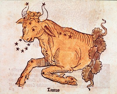 Stjernebilledet af tyren Detalje kommer fra "" Poeticon astronomicon"" tilskrevet den romerske historiker Hygin (Gaius Julius Hyginus) (1. århundrede f.Kr.) (Bull constellation, fra "" Poeticon astronomicon"" tilskrevet Hyginus (1. århundrede f.Kr.)) 1482  af Unknown artist