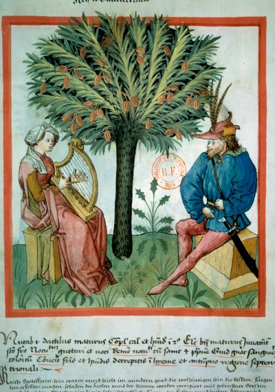 Datdeltageren. En kvinde spiller lyre foran en mand, der lytter til musik. I baggrunden en palme, hvorpå der vokser dadler. Belysning fra handel med medicin og diætetik (ms. lat. 9333) "" Tacuinum sanitatis""" efter handel med medicin "" Kitab af Unknown artist