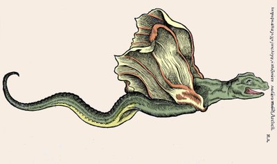 Den flyvende drage Amphiptere (Amphithere eller Amphitere eller Amphipthere) Indgravering i Historia Animalium af Conrad Gesner (1516 - 1565), Tiguri af Unknown artist