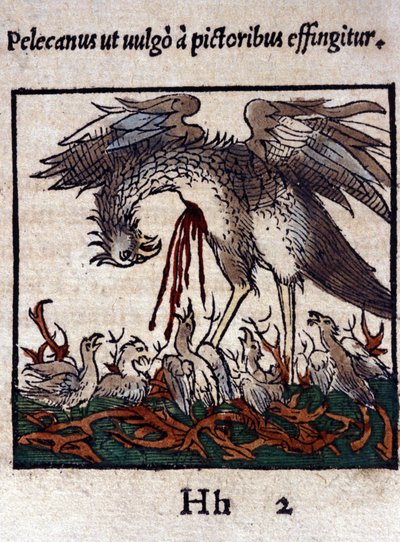 Legenden om pelikanen: han giver sit blod og indvolde for at fodre sine unger. Fra Historiae animalium af Konrad Gesner, Tiguri af Unknown artist