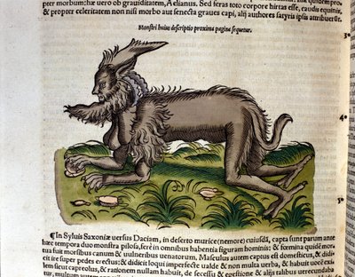 Mantikernen fra Historia Animalium af Conrad Gesner, Tiguri 1560. Biblioteca nazionale Braidense. Milano af Unknown artist
