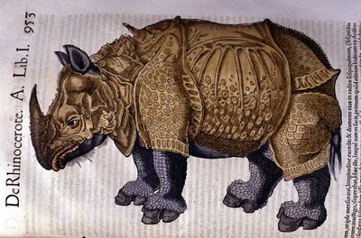 Næsehornet efter "Historia Animalium" af Conrad Gesner, Tiguri 1560. af Unknown artist