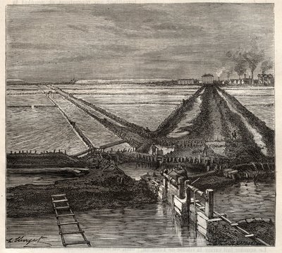 Saltmarsken i Giraud i Camargue (Bouches-du-Rhone), udsigt taget fra servicekanalen - indgravering i 