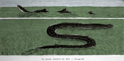 Havslangen observeret i 1872 i Meridional Atlanterhavet. af Unknown artist