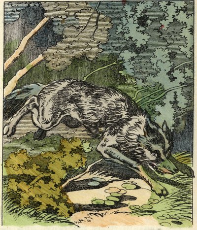 Ulven løber til bedstemors hus. Illustration af fortællingen "Den Lille Rødhætte" af Charles Perrault af Unknown artist