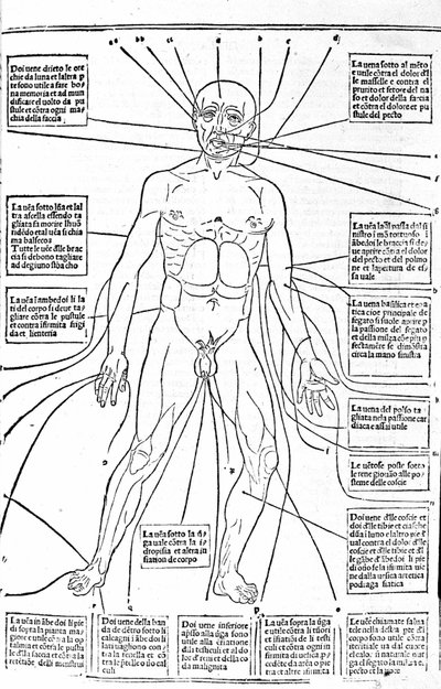 Dette billede viser steder af kroppen eller praksis blødning afhængigt af smerten. Afhandling om medicin af Gerolamo Cardano (Cardanus Hieronymus), Firenze af Unknown artist