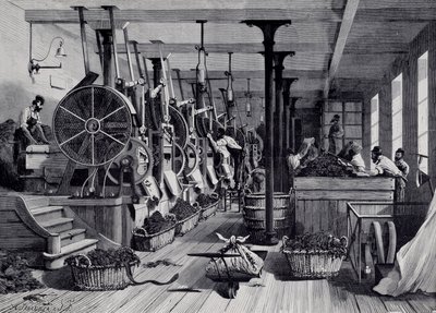Tobaksfabrik, vaskerum og tobaksrapage. Stik omkring 1867. Paris, Musee Carnavalet af Unknown artist