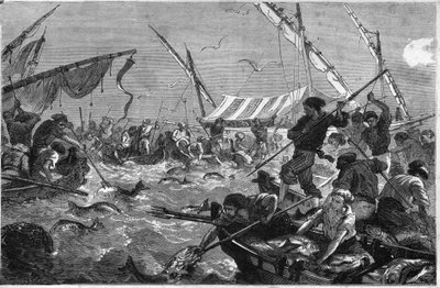 Tunfiskeri (Pesca al tonno) på kysten af Provence. af Unknown artist