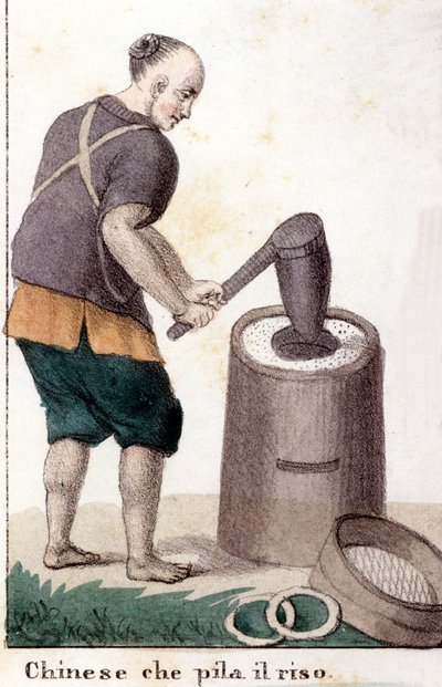 Un chinese qui pille le riz - i Den universelle dragt for alle verdens folk af Unknown artist