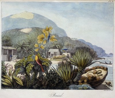 Udsigt over Brasilien i "" Udsigter og landskaber af jævndøgnsregionerne, samlet på en rejse rundt i verden"", sd. 19. århundrede af Unknown artist