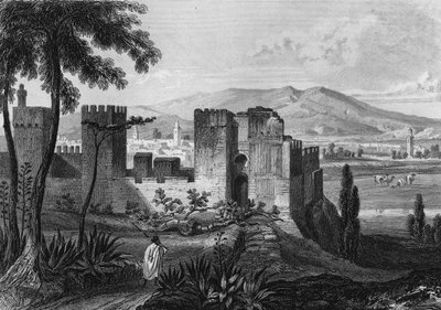 Udsigt over indhegningen af Tlemsen (eller Tilimsen) i Algeriet i det 19. århundrede, i "" Algerie ancienne et moderne"" af Leon Galibert af Unknown artist