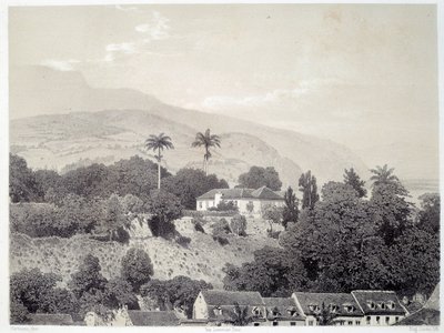 Udsigt over husene taget fra Boulevard de la Comedie i Saint Pierre på Martinique på Antillerne. Tryk efter fotografi fra slutningen af det 19. århundrede Chartres musee des Beaux Arts af Unknown artist