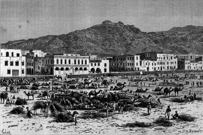 Udsigt over Adens march i Abessinien. Indgravering omkring 1880 af Unknown artist
