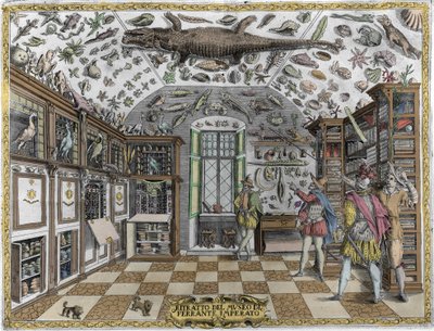 Udsigt over museet (kabinet) af kuriositeter (encyklopædisk museum) af farmaceuten Ferrante Imperato (1550 - 1631). Gravering fra 1678. Museum for den napolitanske apoteker Ferrante Imperato. af Unknown artist