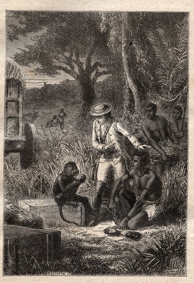 Voyage dans la Caffrerie (Sydafrika) (1781) af Francois Levaillant (Le Vaillant) (1753-1824): Levaillant og hans abe degustateur Maitre Kees, der smager på frugterne og rødderne for at verificere, at de er spiselige - illustration hentet fra "" Les Gra af Unknown artist