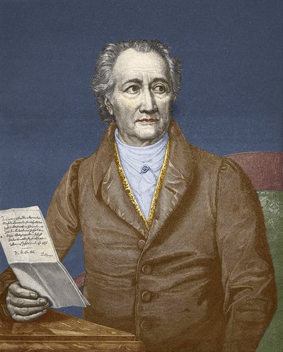 Wolfgang Goethe (1749 - 1832). af Unknown artist