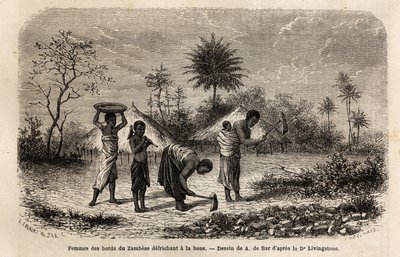 Kvinder fra bredden af Zambeze, der befrier en hakke og introducerer børn til landbrugsarbejde. Indgravering til illustration af Dr. Livingstones første rejser til det sydlige Afrika fra 1840 til 1856, i "Le tour du monde, nouveau journal des voyages"" udg af Unknown artist