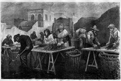 Arbejdere i Frankrig: Kokssorterere (varietet af kul fra destillation af kul, brugt til opvarmning) i en gasfabrik i Paris Indgravering i "Le Monde Illustré"" af Unknown artist