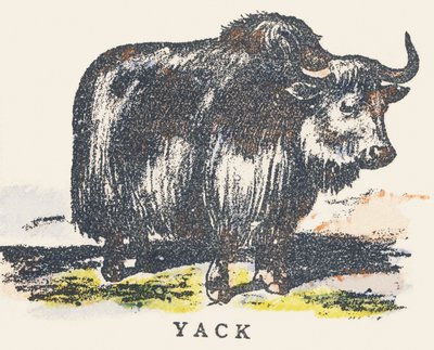 Y: yak af Unknown artist