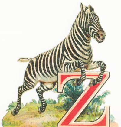 Fra: Zebra af Unknown artist