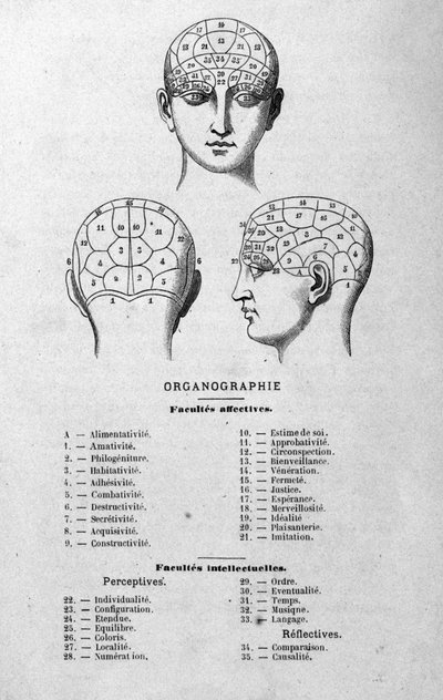 illustration fra Charles Rouvins bog fra 1873 Organographie La Tête humaine, illustrerede undersøgelser af frenologi og fysionomi anvendt på berømte karakterer Paris 1873 af Unknown artist