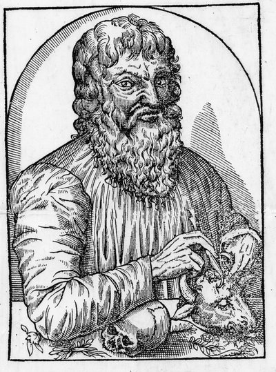 portræt af Hippokrates (460- omkring 377 f.Kr.), græsk læge. af Unknown artist