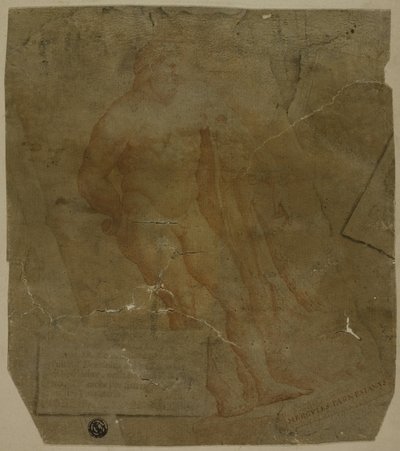 Herkules af Unknown Italian